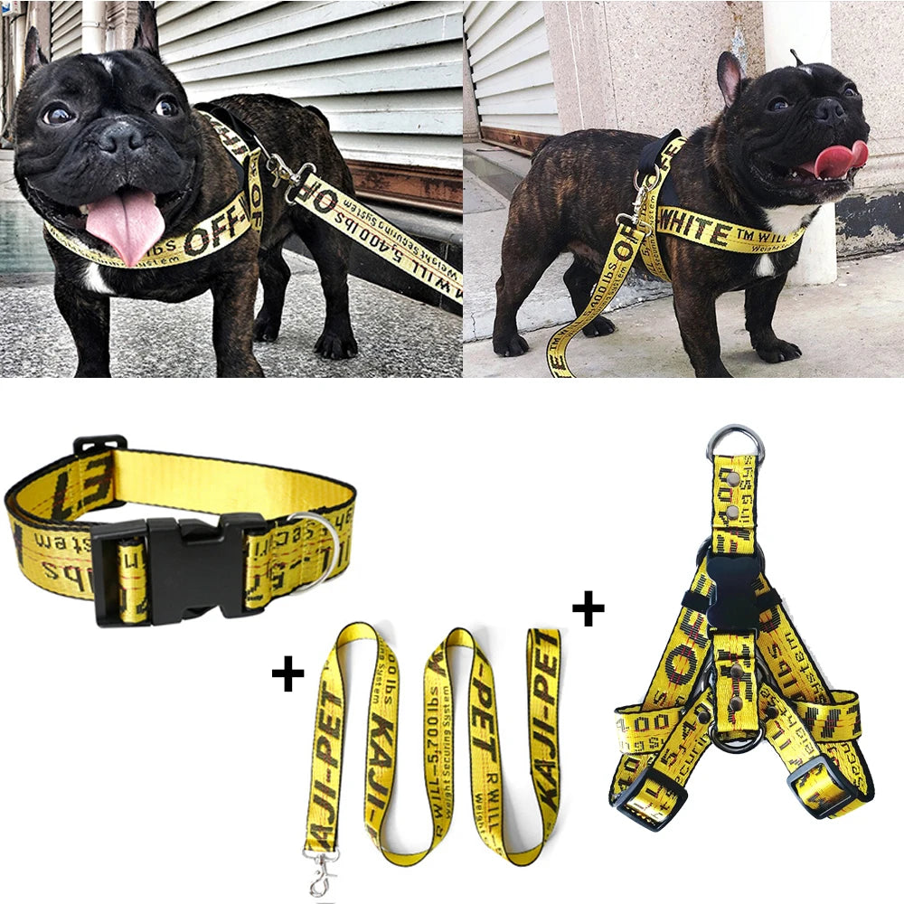 https://ae01.alicdn.com/kf/S8b17a7002205443680af4dcb54a612984/Fashion-Dog-Collar-Leash-Set-Gold-Chain-Nylon-Pets-Dog-Collar-Leash-Long-Rope-Lettered-Collar.jpg