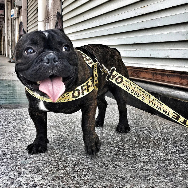 https://ae01.alicdn.com/kf/S14ecade93d5d4ceeaa1a4f9b2bcac7e8u/Fashion-Dog-Collar-Leash-Set-Gold-Chain-Nylon-Pets-Dog-Collar-Leash-Long-Rope-Lettered-Collar.jpg