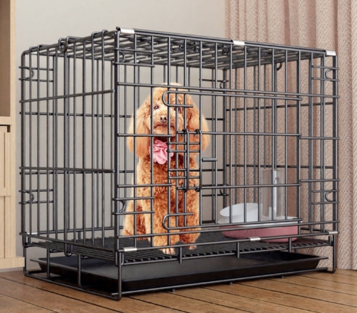 https://static.hzpdex.com/product/20240813/b9dadf94-b94c-4f07-bdfc-7a7e5d00a1ad.png